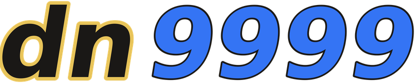 dn9999 logo